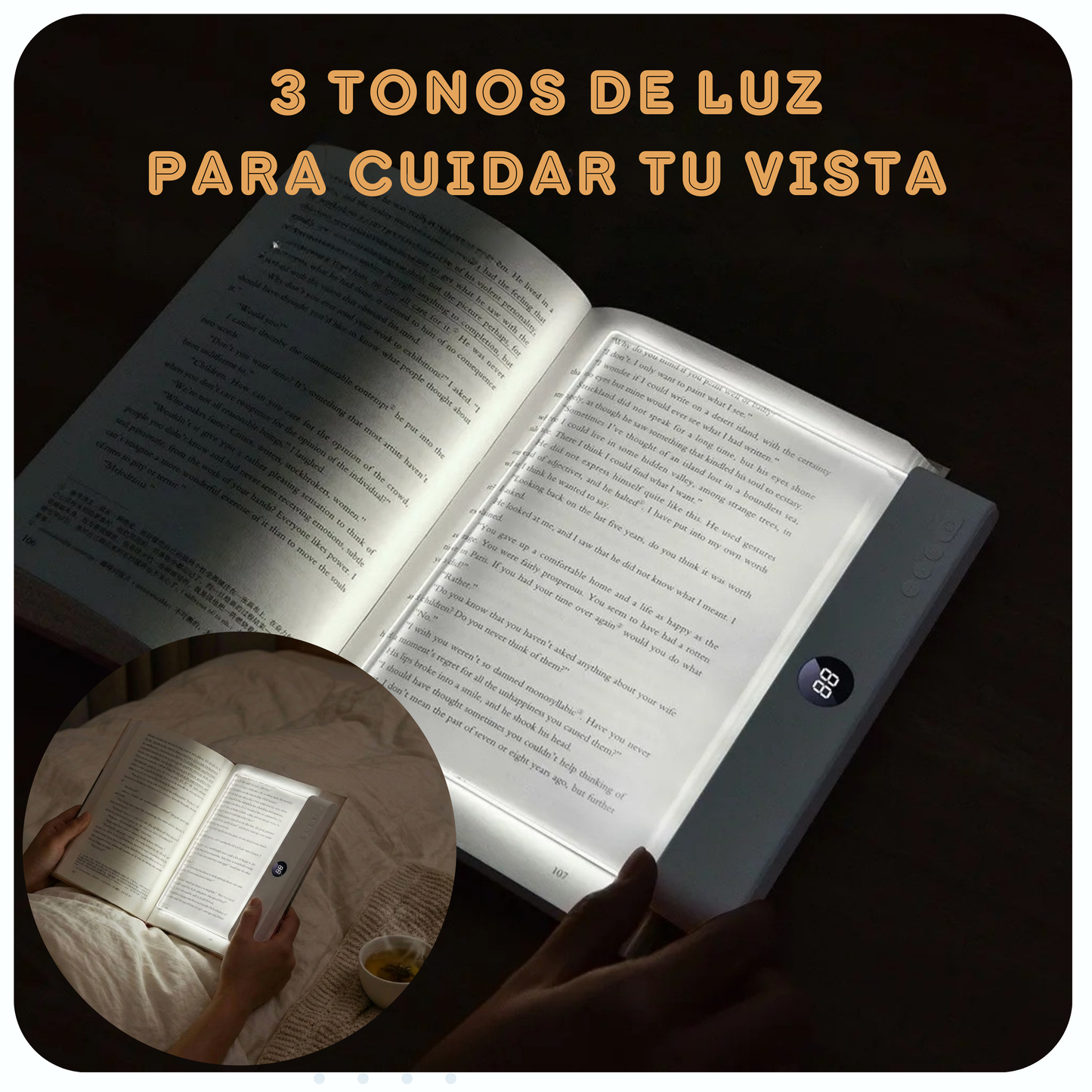 Panel de Lectura LED